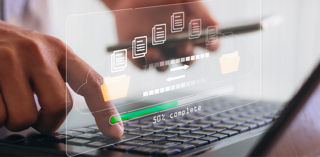 Data Migration Execution